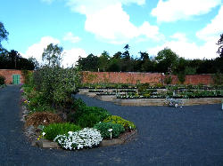 Places to go in Jedburgh, Scottish Borders